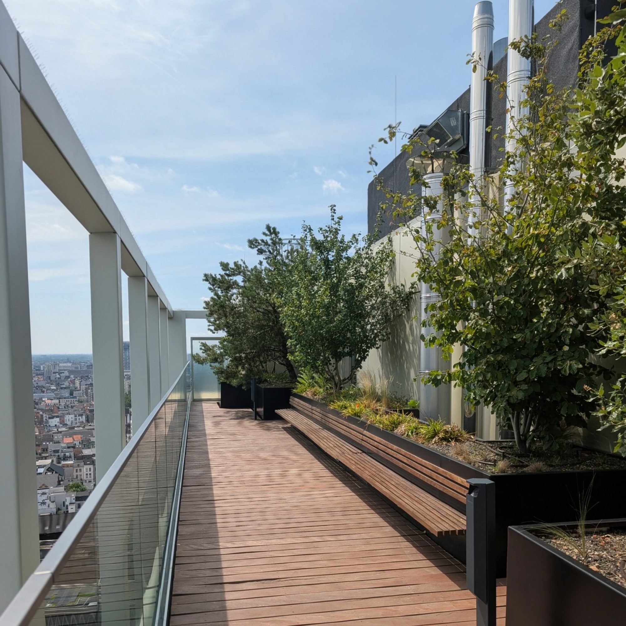 Dakterras